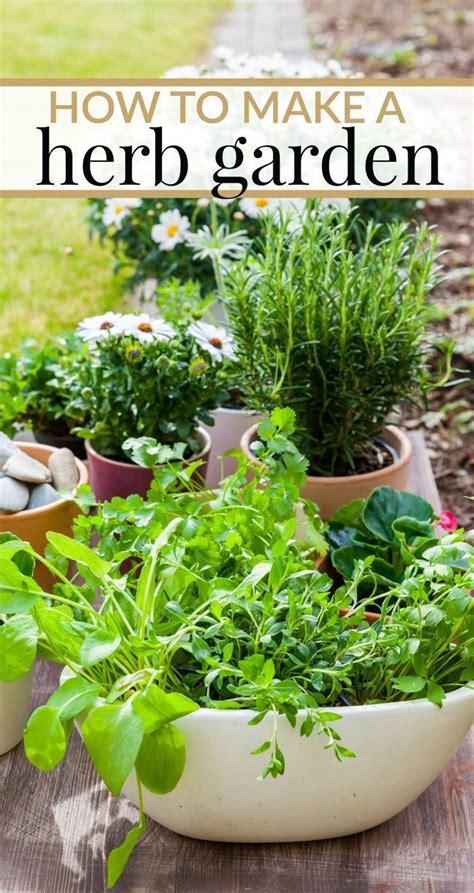 Herb gardening for beginners | Home vegetable garden, Organic gardening tips, Organic vegetable ...