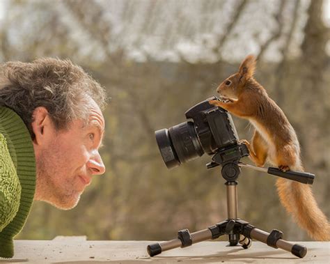 Photographer being photographed by a squirrel | Photographer Captures Squirrels for 6 Years and ...