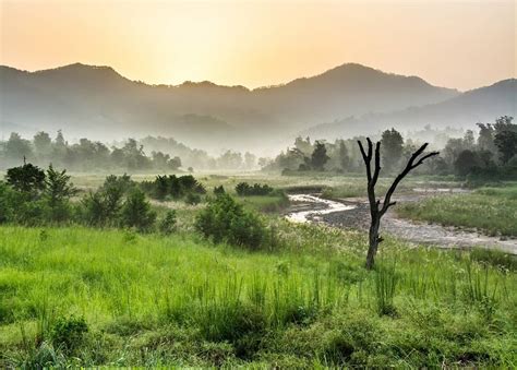 Safari at Rajaji National Park: Book Online - Rishikesh Day Tour