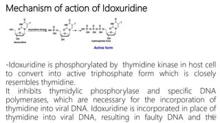 Important Synthesis of Antiviral Drugs | PPT | Free Download