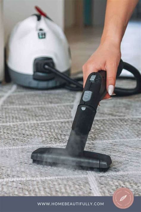 How to Clean Carpet with a Handheld Steamer [Easy DIY Guide]