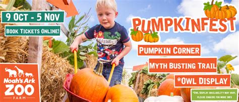 Pumpkinfest 2023 at Noah's Ark Zoo Farm - The Bath and Wiltshire Parent