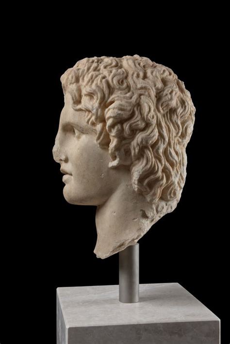 Head of a statue of Alexander the Great | Acropolis Museum | Official website