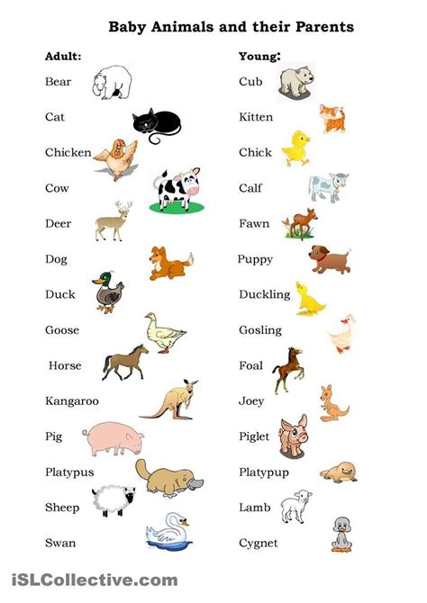 Perfect Wild Animals And Their Babies Worksheet Pre K Certificates Free ...