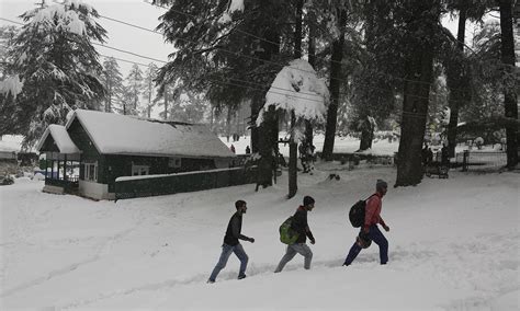 Kashmir in the wraps of snow - Travel Kashmir