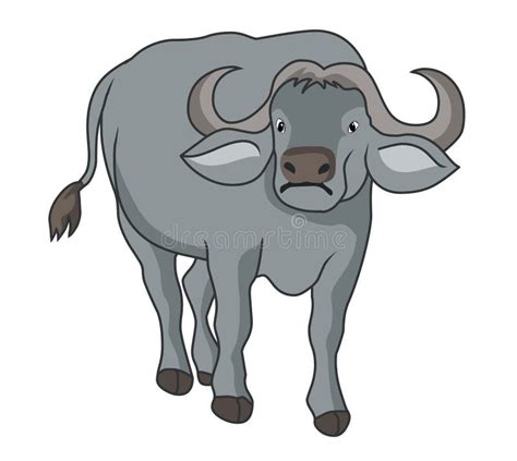 African Buffalo Illustration Vector. Buffalo Vector Stock Image Stock ...