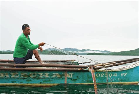 Healthy mangroves build a resilient community in the Philippines’ Palawan