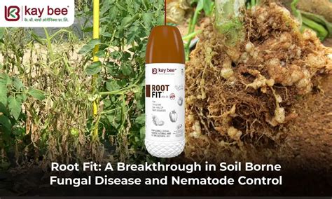 Root Fit - A Breakthrough In Soil Borne Fungal Disease and Nematode Control