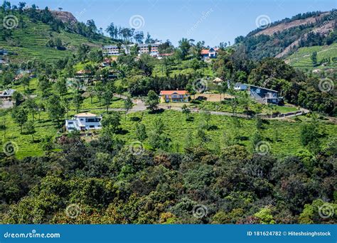 Beautiful View of Tea Garden and Ooty City of Tamilnadu Stock Photo ...