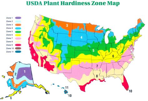 What is my plant hardiness zone? USDA climate plant growing zone map ...