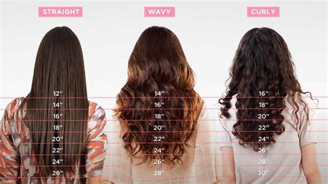 Our Hair Length Chart: Understanding Hair Length and Type - L'Oréal Paris | Hair length chart ...