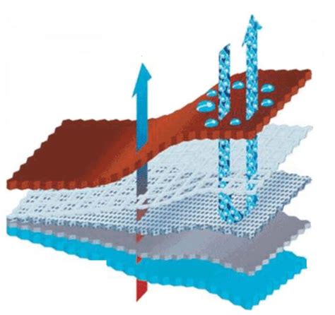 Membrane Coating | Hydrophobic Membrane | Hydrophilic Membrane