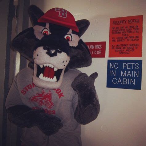 21 Wolfie - Official Mascot of the Stony Brook Seawolves ideas | three ...