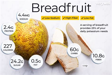 Breadfruit Nutrition Facts and Health Benefits