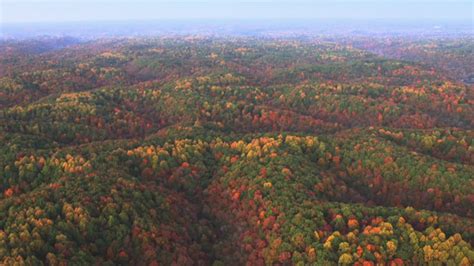 Finding fall foliage: Your guide to the best sights across Tennessee