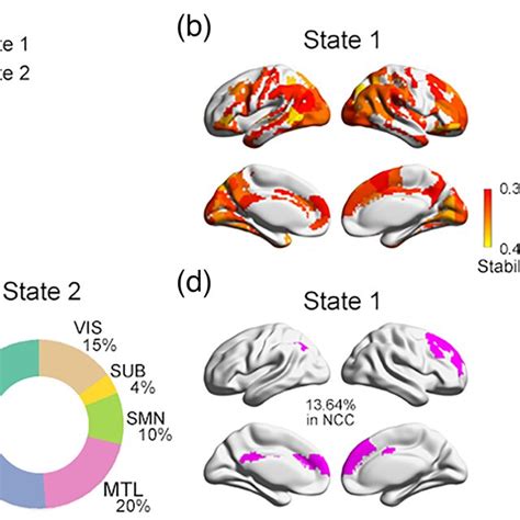 Schematic of the identification of neural correlates of consciousness... | Download Scientific ...