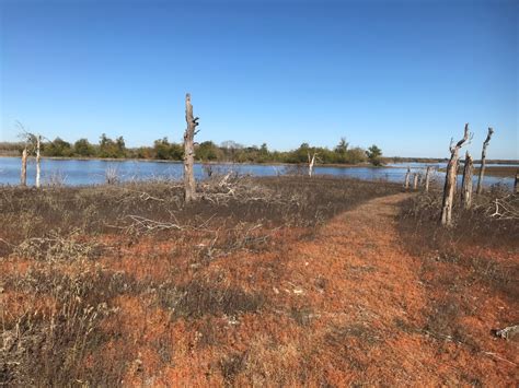 Lake Somerville State Park - Birch Creek | Benjamin A. Simpson