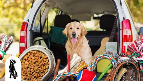 The Best Car Accessories for Pets in 2021