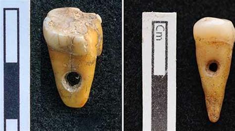 Turkish teeth necklaces from 8,500 years ago hint at ancient rituals - CNET