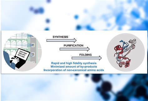 Peptide Synthesis – American Peptide Society