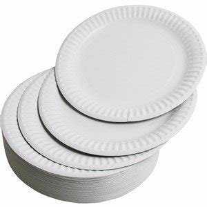 Paper Plates (Large - Pack of 100) 23cm by REAL ACCESSORIES Perfect for Any kind of Party ...