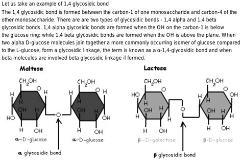 difference between alpha beta glycosidic bond