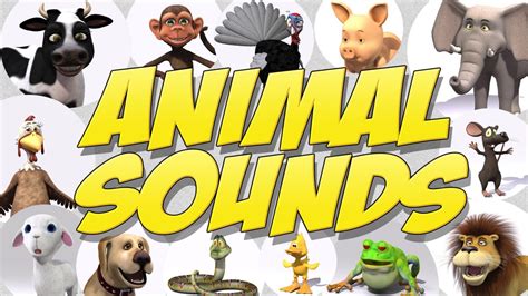 Learn Animal Sounds