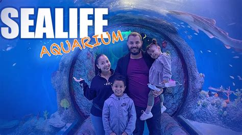 New Jersey Sea Life Aquarium Tickets Hot Sale | emergencydentistry.com