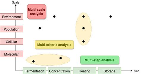 1: Example of a transformation process in biology. The multiple... | Download Scientific Diagram