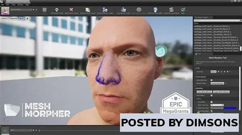 Unreal Engine Code Plugins Mesh Morpher (Wrapper) v2.3.5 (5.2) » AVAXGFX