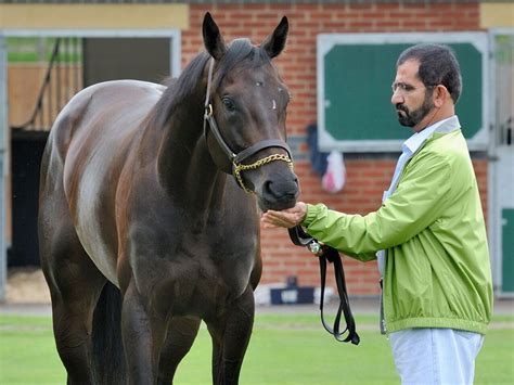 HH Sheikh Mohammed | Sheikh mohammed, Mohammed, Horse racing