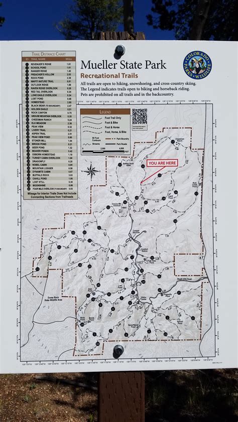 Mueller State Park Colorado Guide - All About Colorado Springs, Colorado