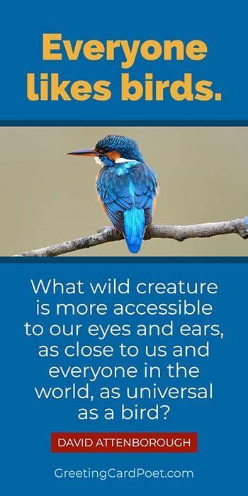 National Bird Day - Quotes, Captions, Fun Facts, FAQs, and More ...