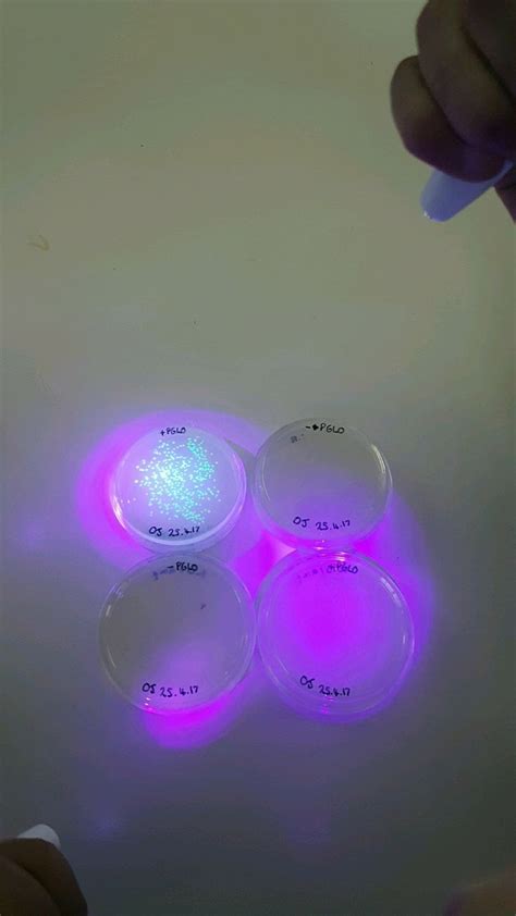 three plastic discs with different colored lights on them are being ...