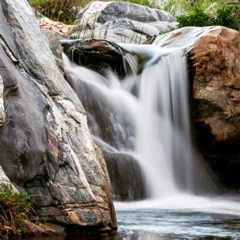 Discover San Pedro Martir! Sierra de San Pedro Martir National Park is located in ‪#‎Ensenada ...