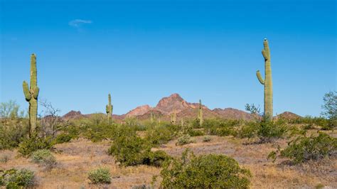 Woolsey Peak and Signal Mountain Wilderness Trail - Arizona Offroad Trail