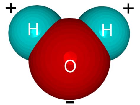 Formula Unit vs Molecule: Difference Between Chemistry Terms