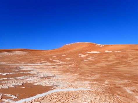 Coral Pink Sand Dunes Winter