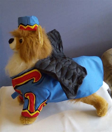 Dog Halloween Costume Dog Flying Monkey Costume the Wizard - Etsy