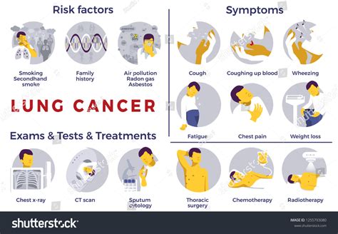 Lung Cancer Infographic Awareness Risk Factors Stock Vector (Royalty ...