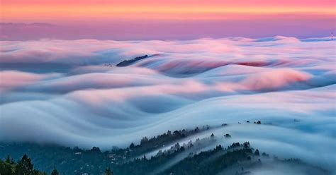 Fog Photography by Nicholas Steinberg Looks Like Cotton Waves