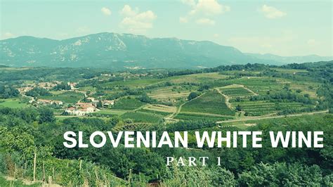 Slovenian Wine Archives - Wine Travel