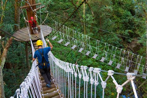 Big Island: 3-Hour Kohala Canopy Zipline Adventure in Hawaii | My Guide ...