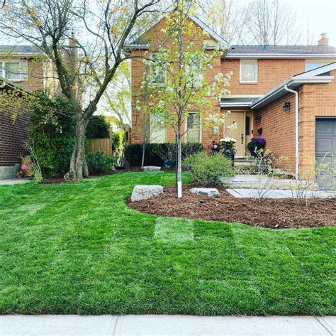 Sod: How to care for it and other tips - Sunready Landscaping