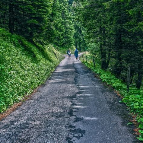 'A walk in the country' on Picfair.com Photography Store, Free Photography, High Quality Stock ...