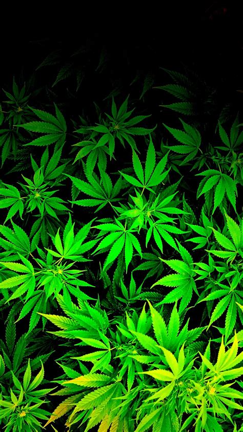 Marijuana Wallpaper Computer - WallpaperSafari