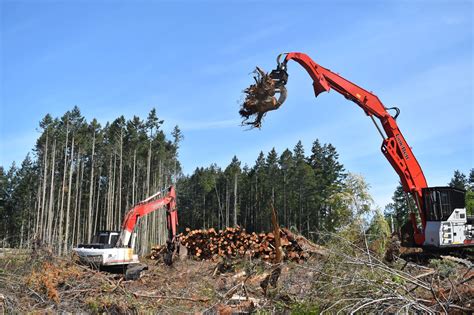 Despite how it may seem, clear-cutting not increasing | Whidbey News-Times