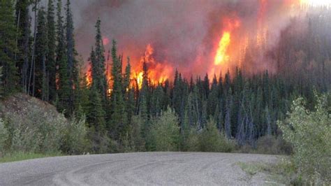 B.C. forest fire risk increasing - British Columbia - CBC News