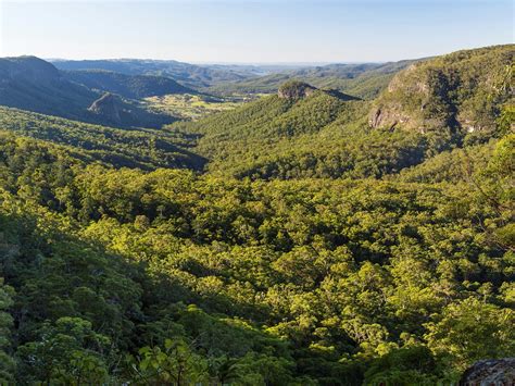 Gold Coast Hinterland Great Walk - Journey - Queensland