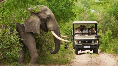 South African tourism holding steady | Africa Renewal